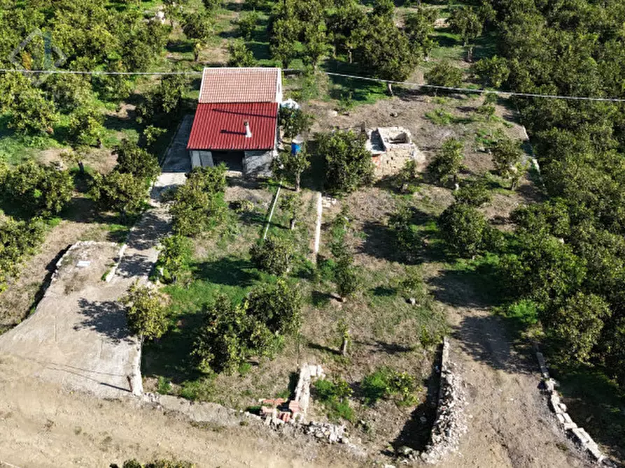 Immagine 17 di Terreno in vendita  in c.da Falco snc a Palagonia