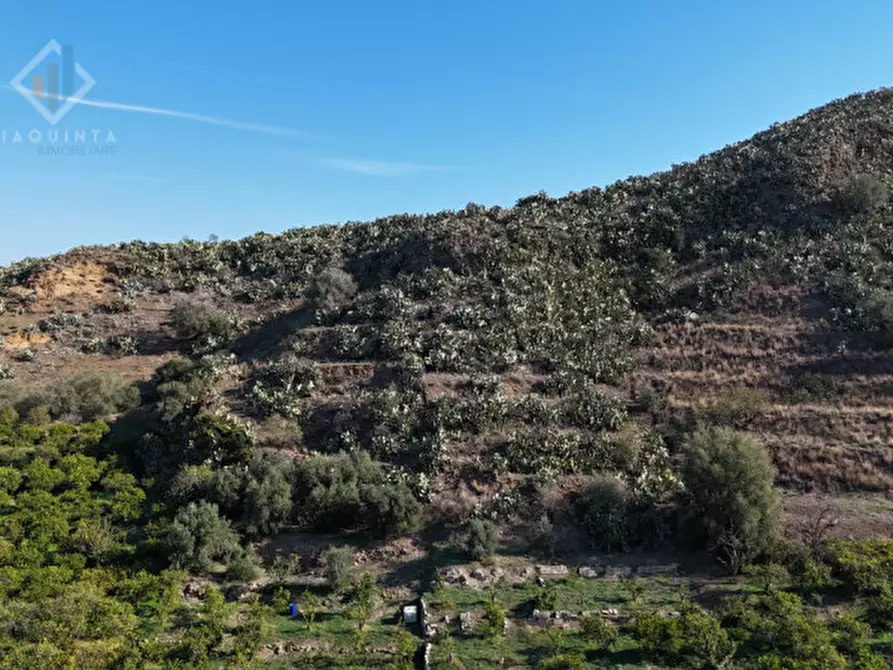Immagine 19 di Terreno in vendita  in c.da Falco snc a Palagonia