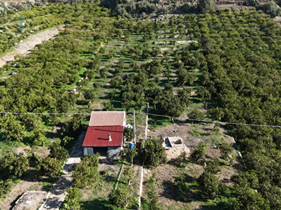 Immagine 20 di Terreno in vendita  in c.da Falco snc a Palagonia