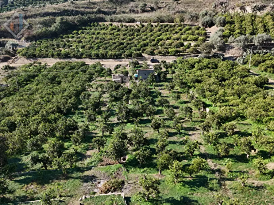 Immagine 21 di Terreno in vendita  in c.da Falco snc a Palagonia