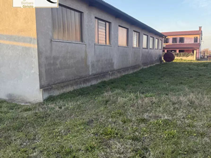 Immagine 7 di Casa indipendente in vendita  a Piacenza D'adige