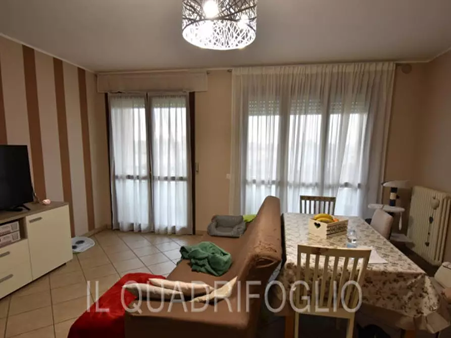 Immagine 3 di Appartamento in vendita  a Gambettola