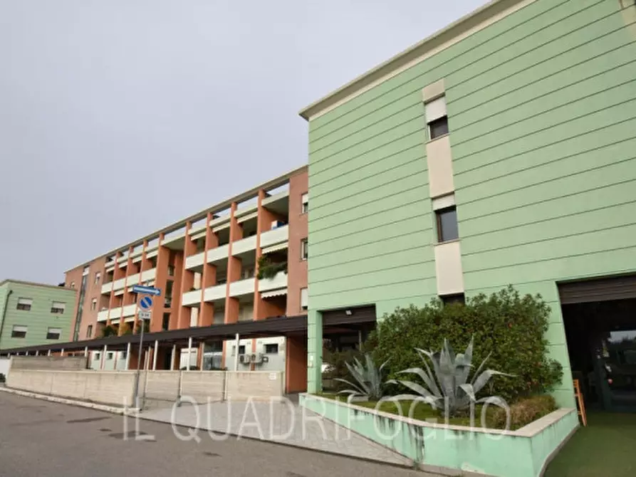 Immagine 17 di Appartamento in vendita  a Gambettola