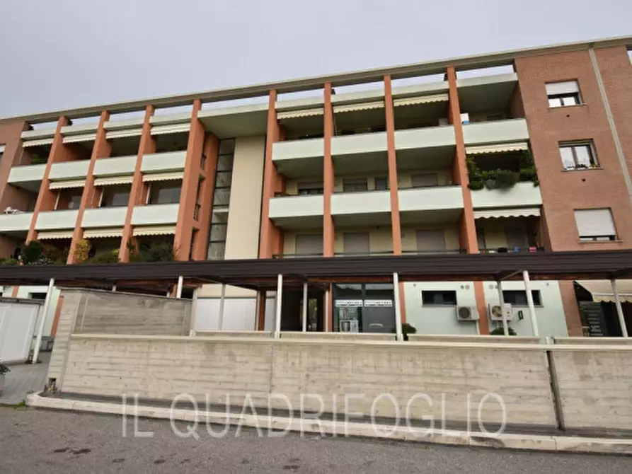 Immagine 18 di Appartamento in vendita  a Gambettola