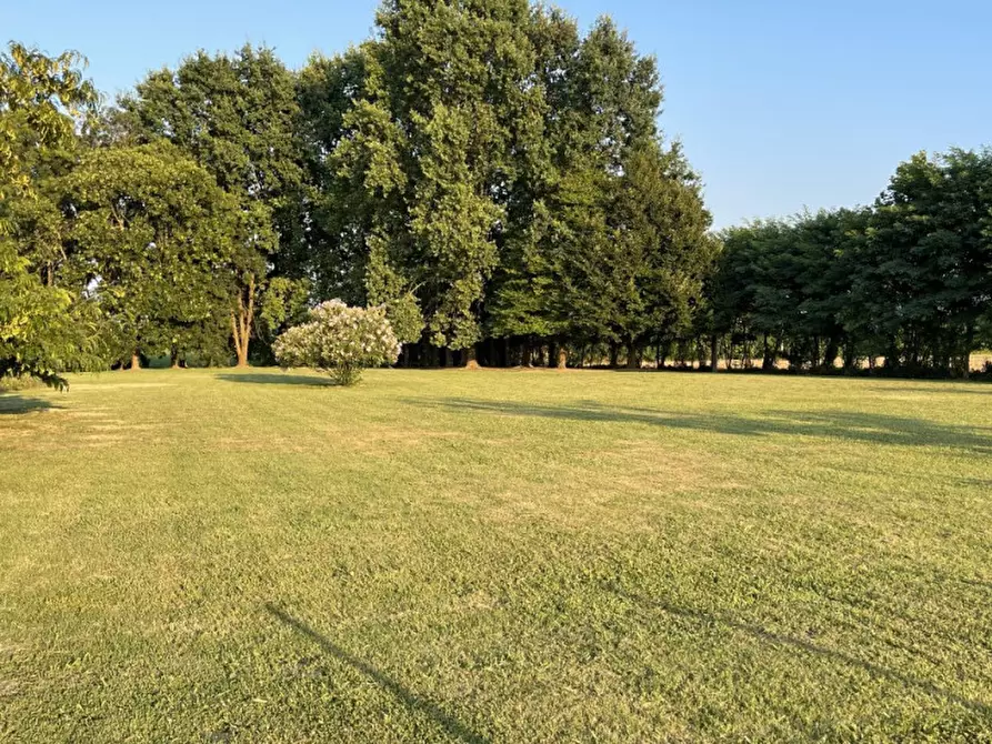 Immagine 1 di Terreno in vendita  in CREOLA a Saccolongo