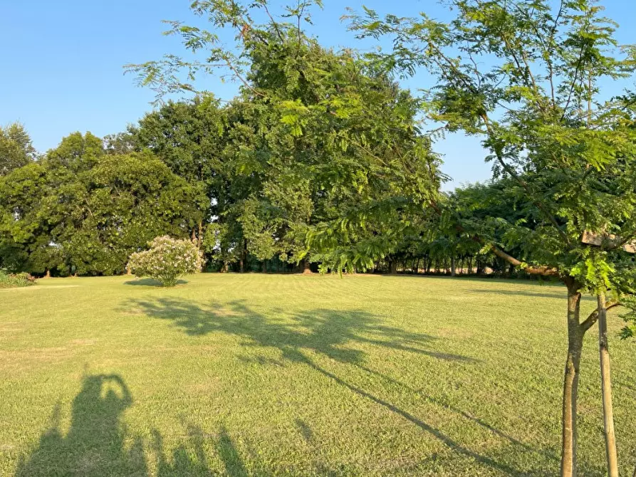 Immagine 2 di Terreno in vendita  in via Scapacchiò a Saccolongo