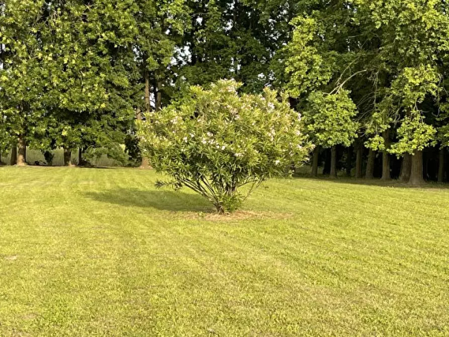 Immagine 3 di Terreno in vendita  in via Scapacchiò a Saccolongo