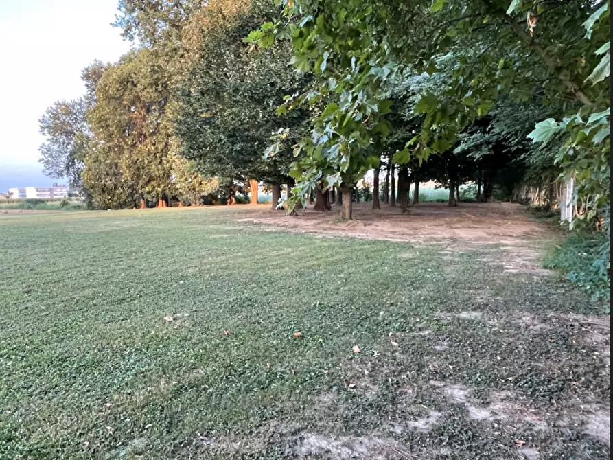 Immagine 4 di Terreno in vendita  in via Scapacchiò a Saccolongo