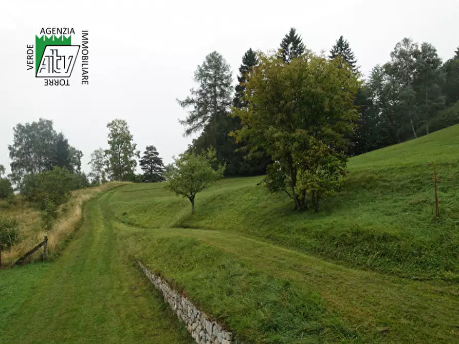 Immagine 8 di Rustico / casale in vendita  in Roverè della Luna a Roverè Della Luna
