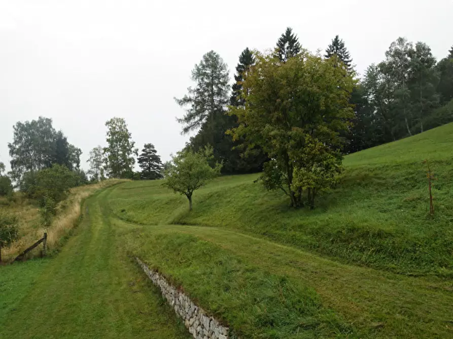 Immagine 13 di Rustico / casale in vendita  in Roverè della Luna a Roverè Della Luna