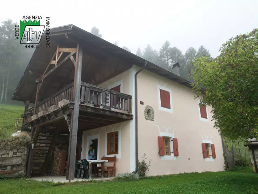 Immagine 21 di Rustico / casale in vendita  in Roverè della Luna a Roverè Della Luna