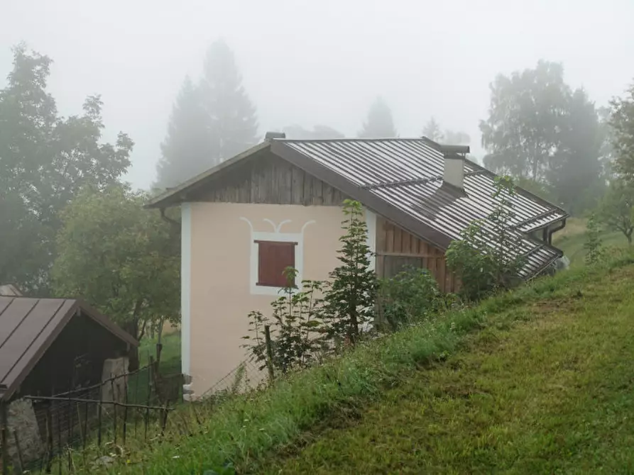 Immagine 23 di Rustico / casale in vendita  in Roverè della Luna a Roverè Della Luna