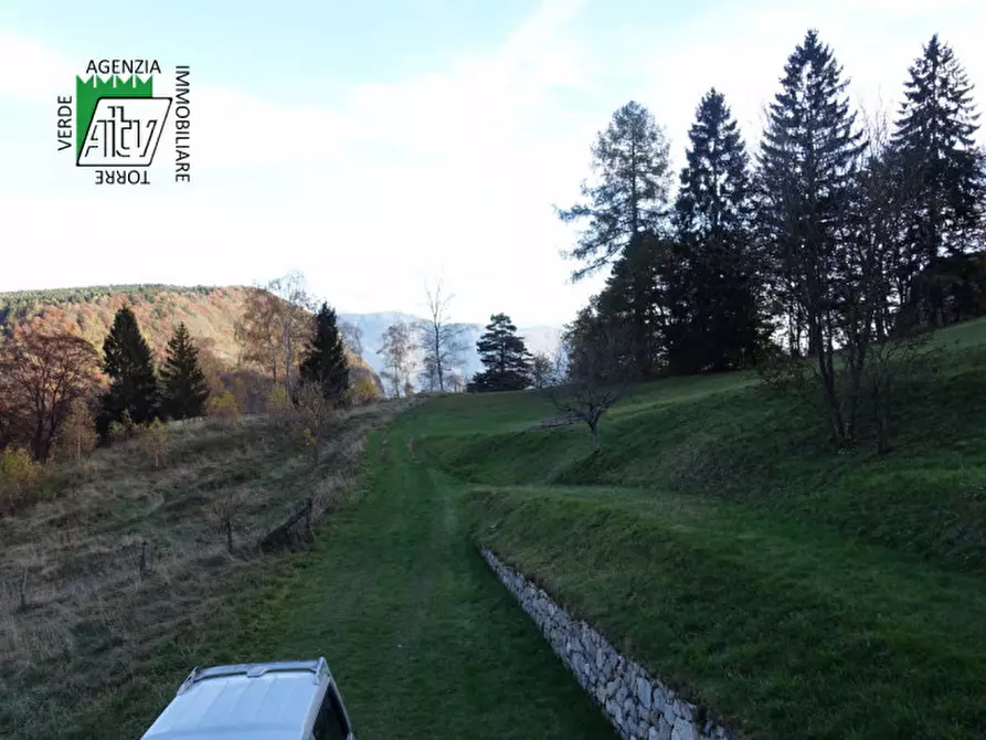 Immagine 35 di Rustico / casale in vendita  in Roverè della Luna a Roverè Della Luna