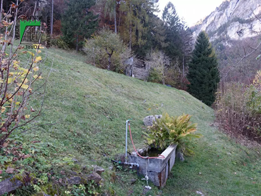 Immagine 36 di Rustico / casale in vendita  in Roverè della Luna a Roverè Della Luna