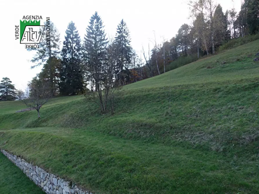 Immagine 33 di Rustico / casale in vendita  in Roverè della Luna a Roverè Della Luna