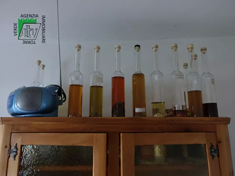 Immagine 36 di Rustico / casale in vendita  in Roverè della Luna a Roverè Della Luna