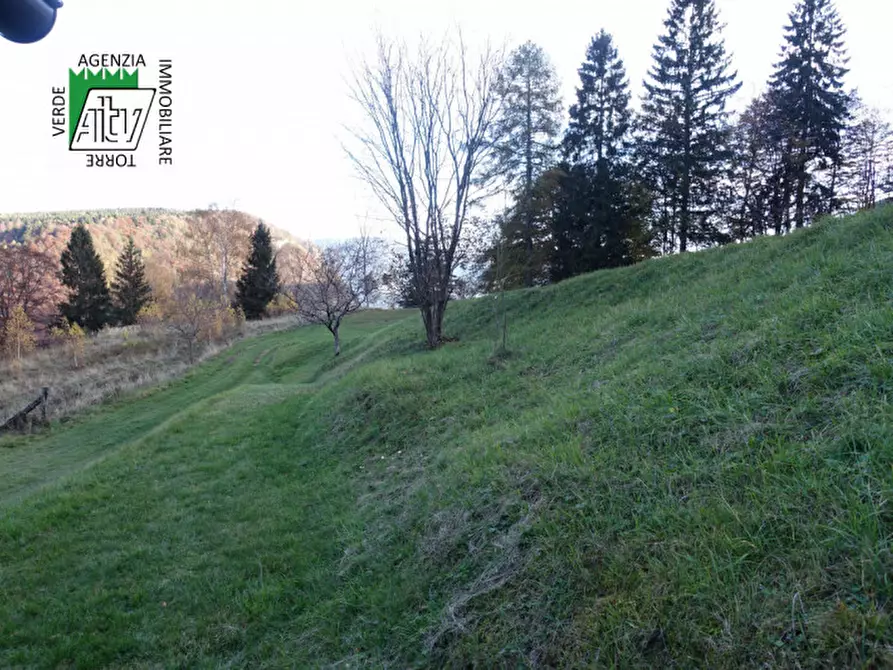 Immagine 62 di Rustico / casale in vendita  in Roverè della Luna a Roverè Della Luna