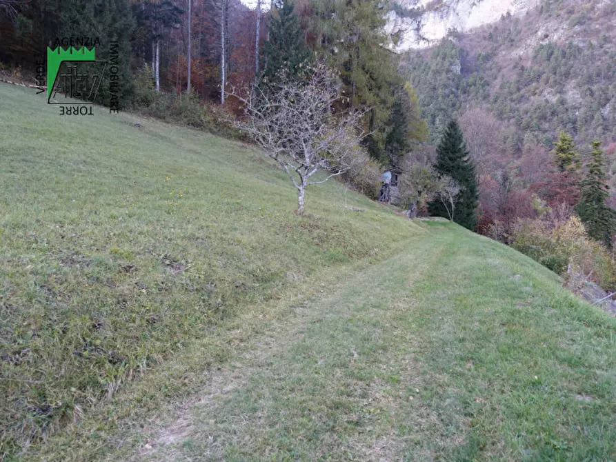 Immagine 63 di Rustico / casale in vendita  in Roverè della Luna a Roverè Della Luna