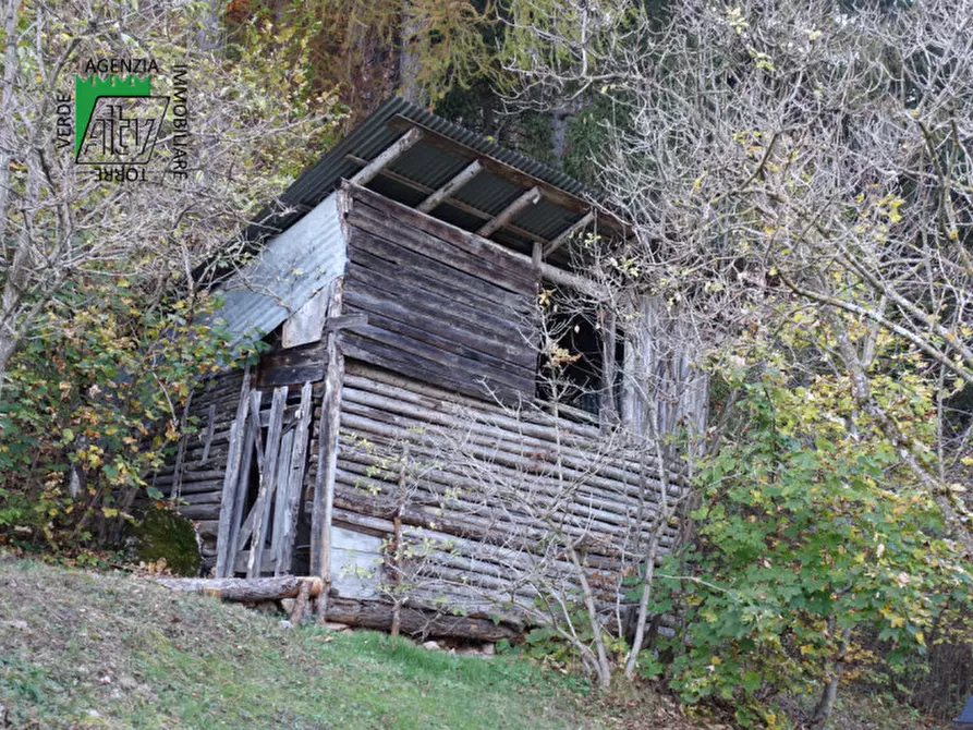 Immagine 66 di Rustico / casale in vendita  in Roverè della Luna a Roverè Della Luna