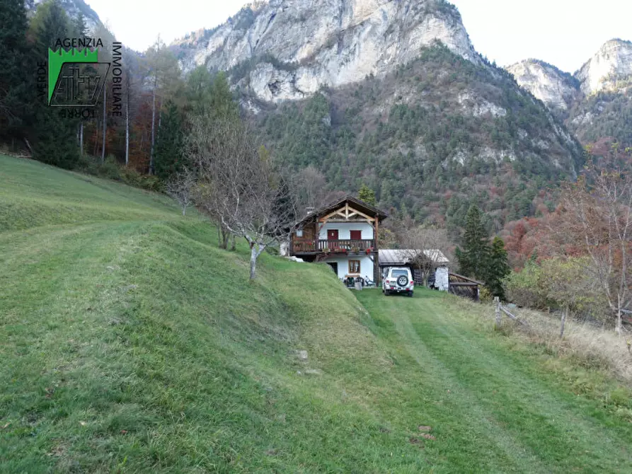 Immagine 67 di Rustico / casale in vendita  in Roverè della Luna a Roverè Della Luna
