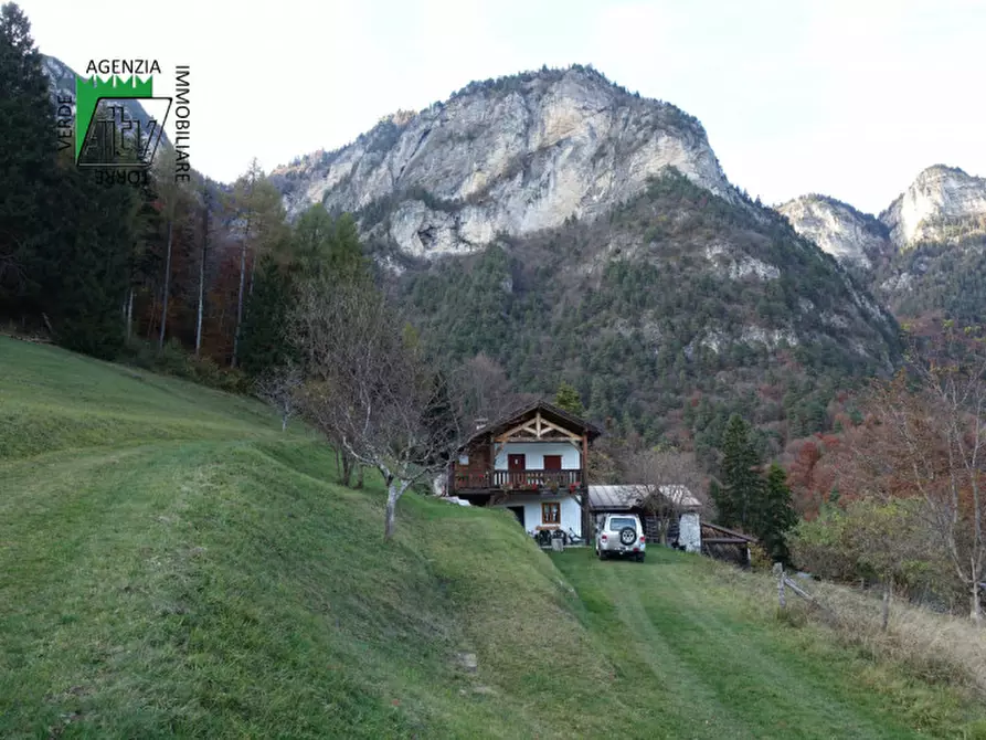 Immagine 68 di Rustico / casale in vendita  in Roverè della Luna a Roverè Della Luna