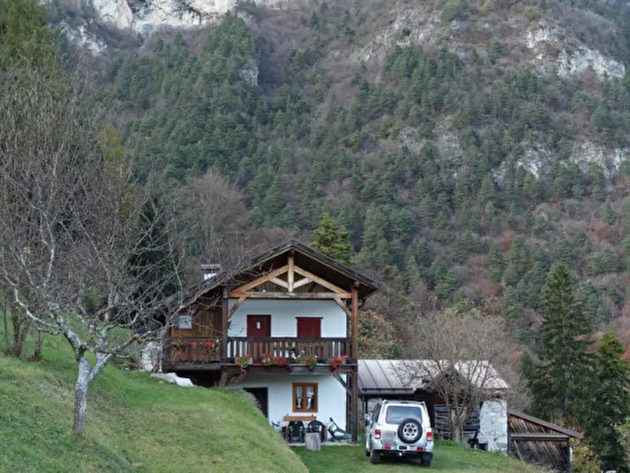 Immagine 69 di Rustico / casale in vendita  in Roverè della Luna a Roverè Della Luna