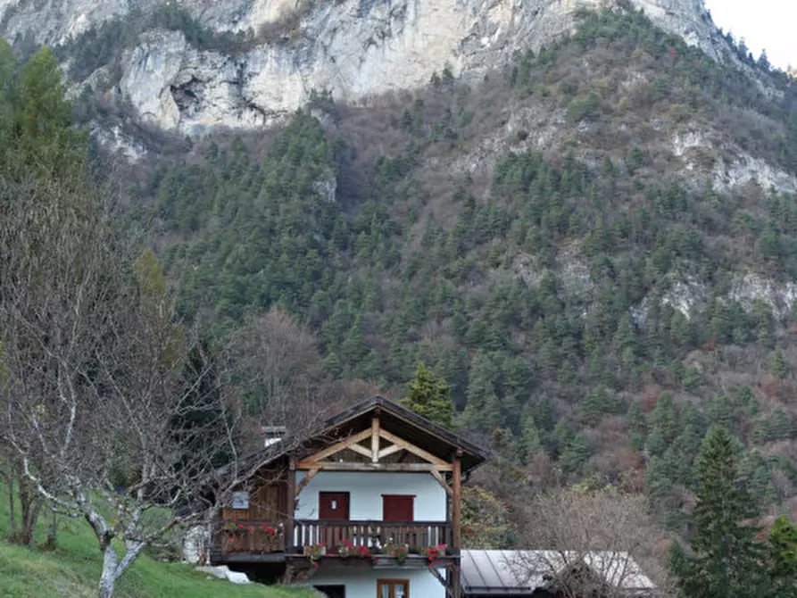 Immagine 70 di Rustico / casale in vendita  in Roverè della Luna a Roverè Della Luna