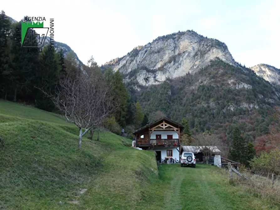 Immagine 71 di Rustico / casale in vendita  in Roverè della Luna a Roverè Della Luna