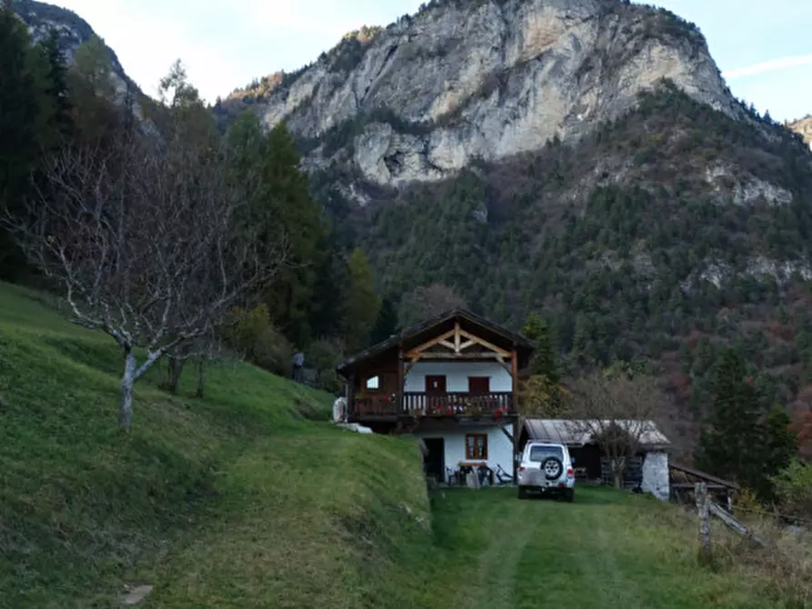 Immagine 72 di Rustico / casale in vendita  in Roverè della Luna a Roverè Della Luna