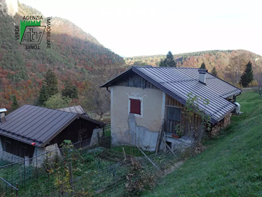 Immagine 78 di Rustico / casale in vendita  in Roverè della Luna a Roverè Della Luna