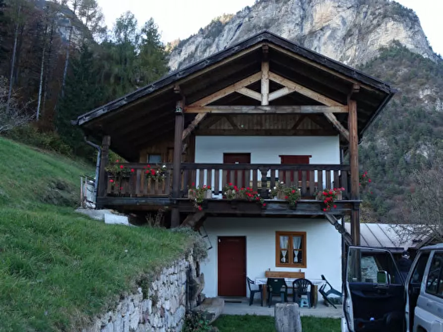 Immagine 82 di Rustico / casale in vendita  in Roverè della Luna a Roverè Della Luna