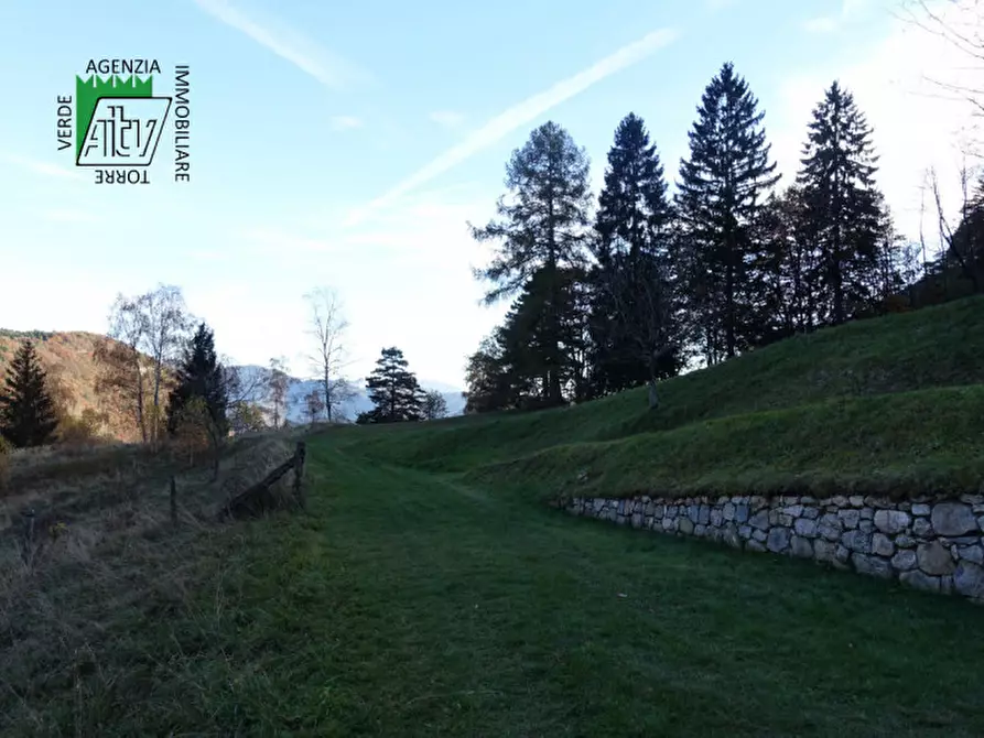 Immagine 83 di Rustico / casale in vendita  in Roverè della Luna a Roverè Della Luna