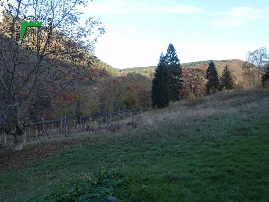 Immagine 84 di Rustico / casale in vendita  in Roverè della Luna a Roverè Della Luna
