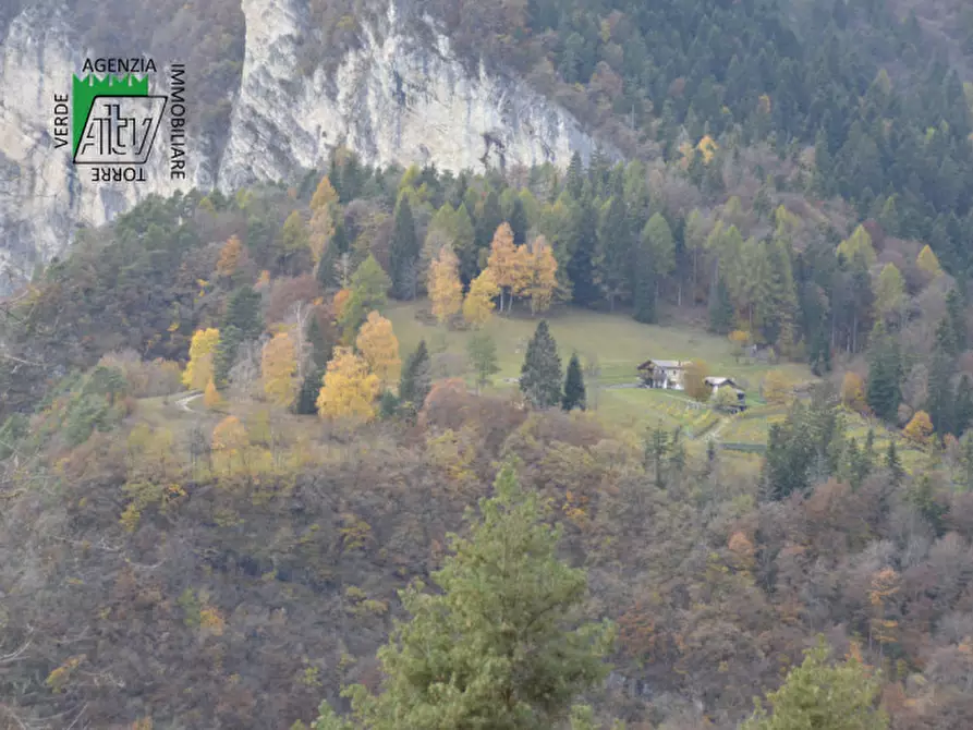Immagine 86 di Rustico / casale in vendita  in Roverè della Luna a Roverè Della Luna
