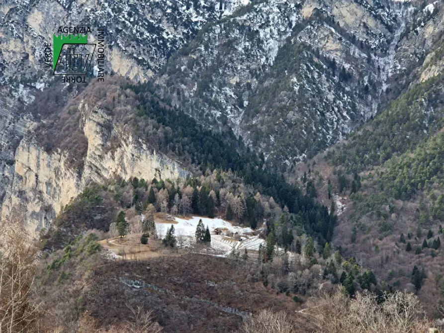 Immagine 87 di Rustico / casale in vendita  in Roverè della Luna a Roverè Della Luna