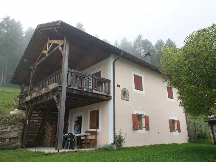 Immagine 95 di Rustico / casale in vendita  in Roverè della Luna a Roverè Della Luna