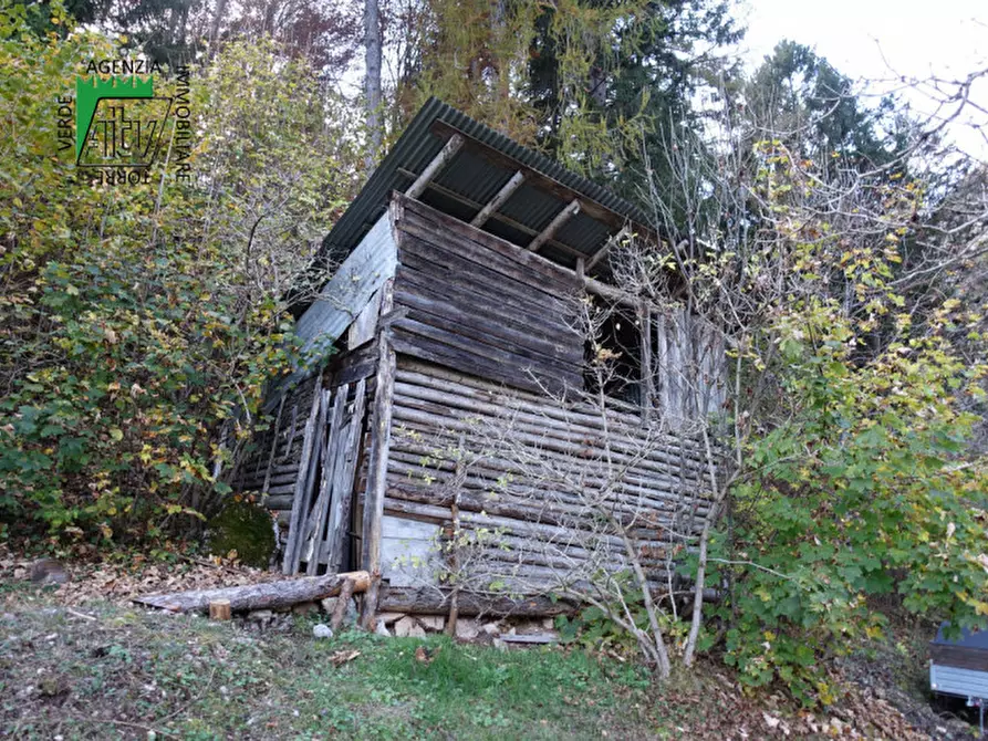 Immagine 53 di Rustico / casale in vendita  in Roverè della Luna a Roverè Della Luna