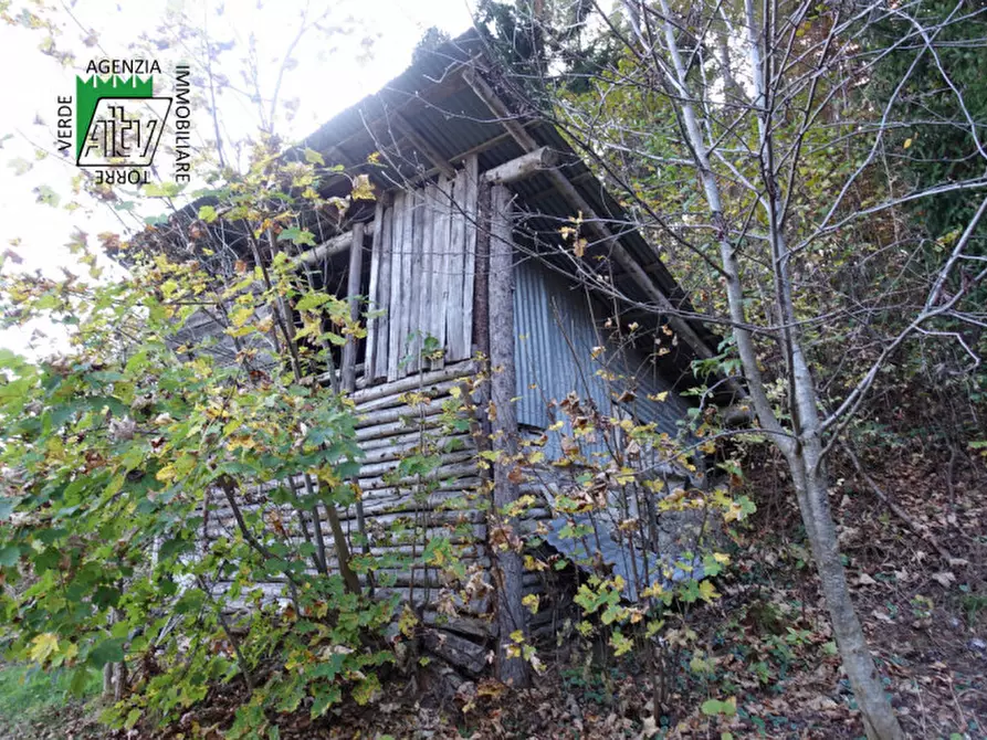 Immagine 54 di Rustico / casale in vendita  in Roverè della Luna a Roverè Della Luna