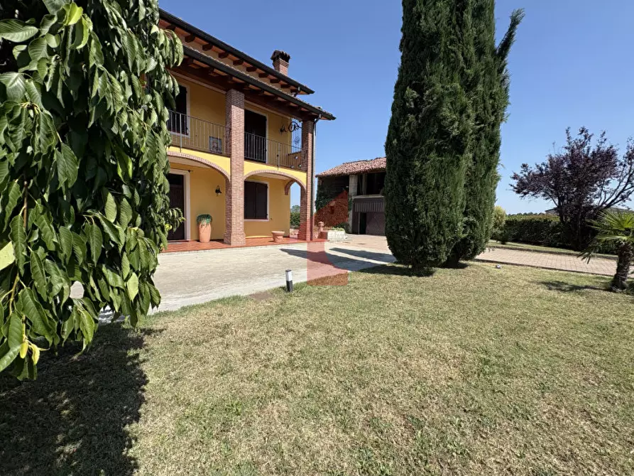 Immagine 3 di Casa bifamiliare in vendita  in Via Crocetta 6 a Polesine Zibello