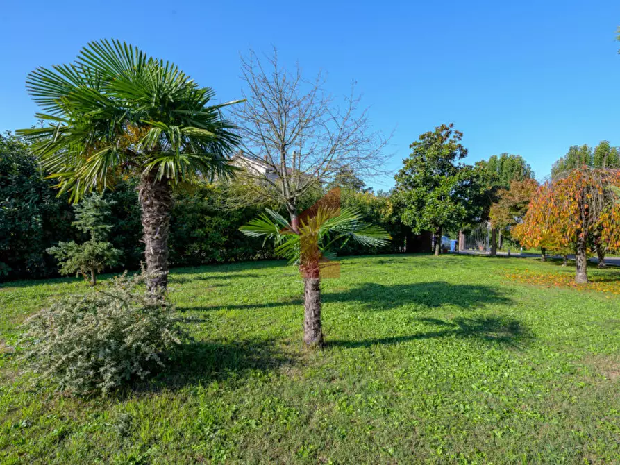 Immagine 7 di Casa bifamiliare in vendita  in Via Crocetta 6 a Polesine Zibello