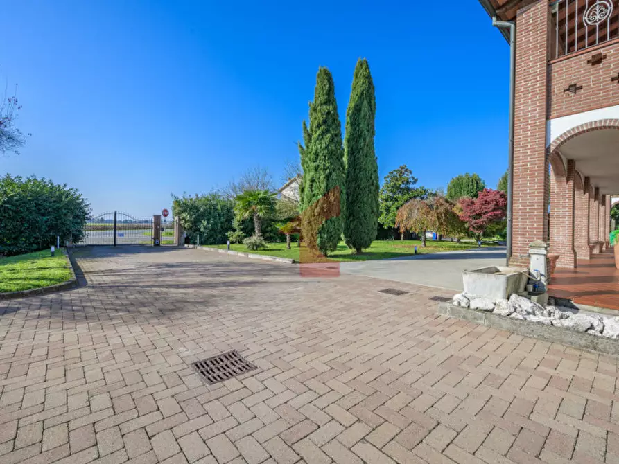 Immagine 18 di Casa bifamiliare in vendita  in Via Crocetta 6 a Polesine Zibello