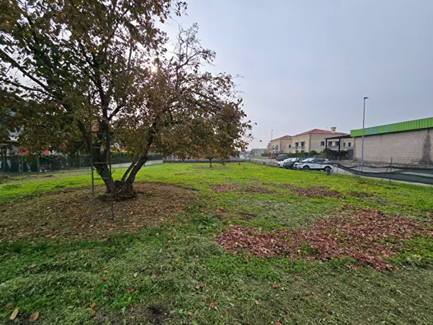 Immagine 2 di Terreno in vendita  in Fosso' a Fosso'