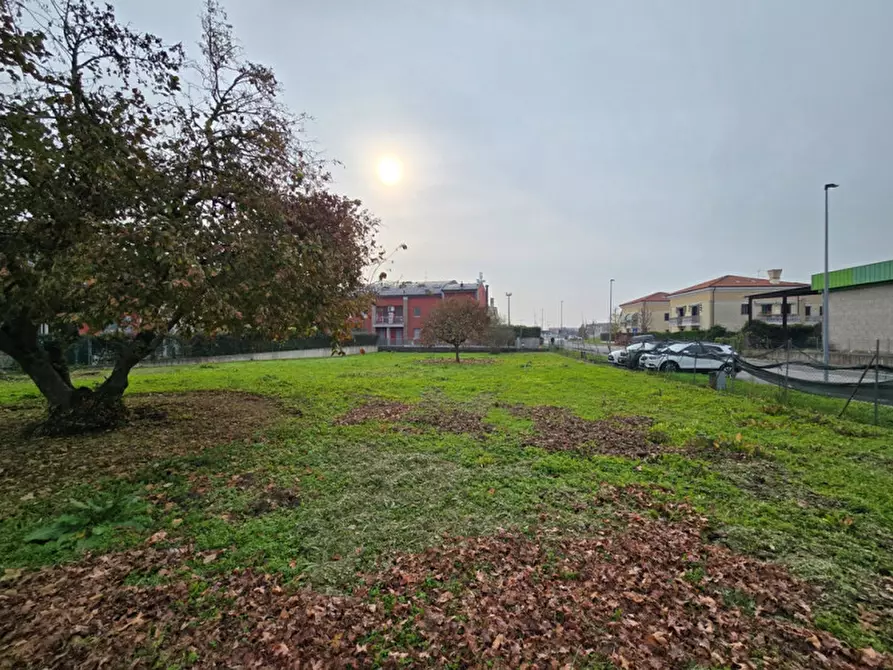 Immagine 4 di Terreno in vendita  in Fosso' a Fosso'