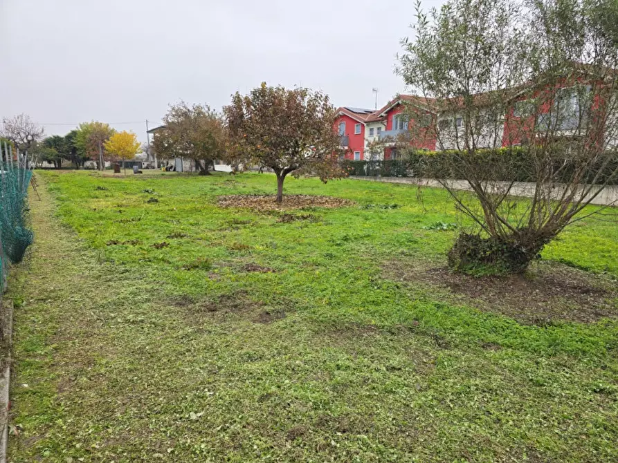 Immagine 5 di Terreno in vendita  in Fosso' a Fosso'