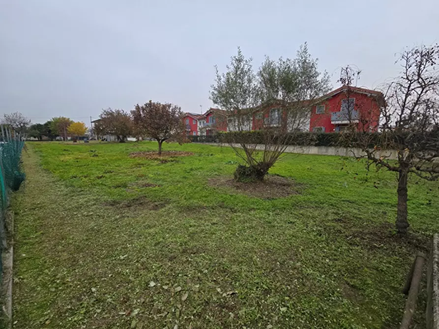 Immagine 6 di Terreno in vendita  in Fosso' a Fosso'