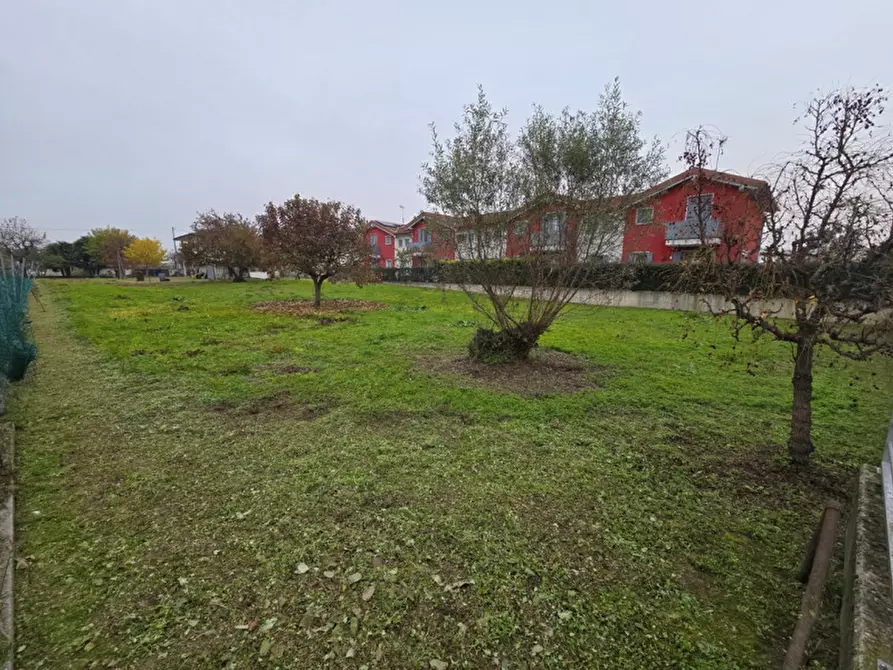 Immagine 7 di Terreno in vendita  in Fosso' a Fosso'