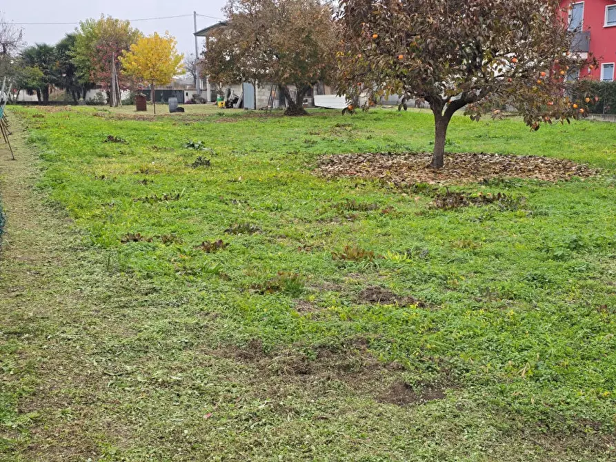 Immagine 9 di Terreno in vendita  in Fosso' a Fosso'