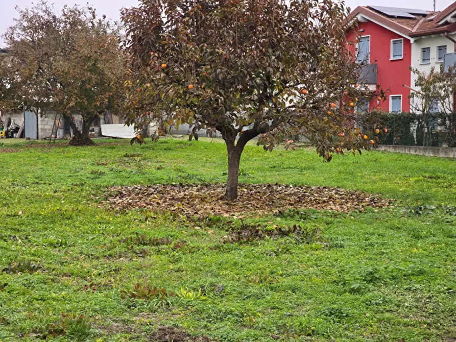 Immagine 10 di Terreno in vendita  in Fosso' a Fosso'