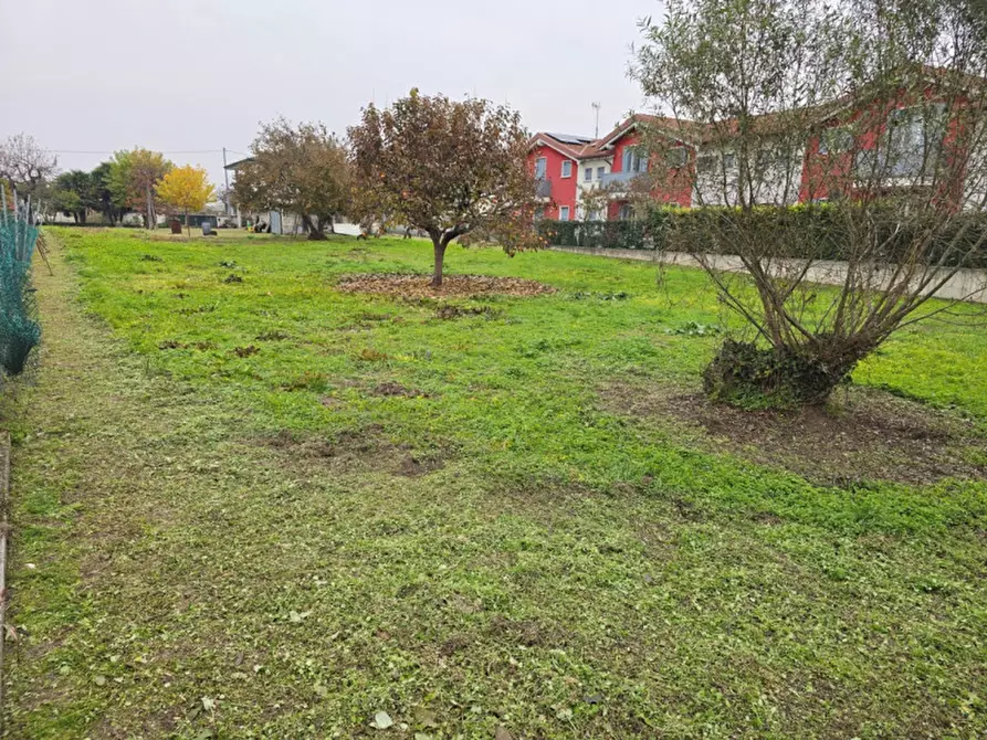 Immagine 8 di Terreno in vendita  in Fosso' a Fosso'
