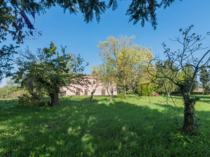 Immagine 18 di Rustico / casale in vendita  a Fano